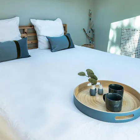 Petit Piladi * 拉卡诺