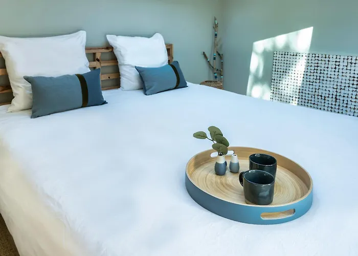 Petit Piladi * 拉卡诺